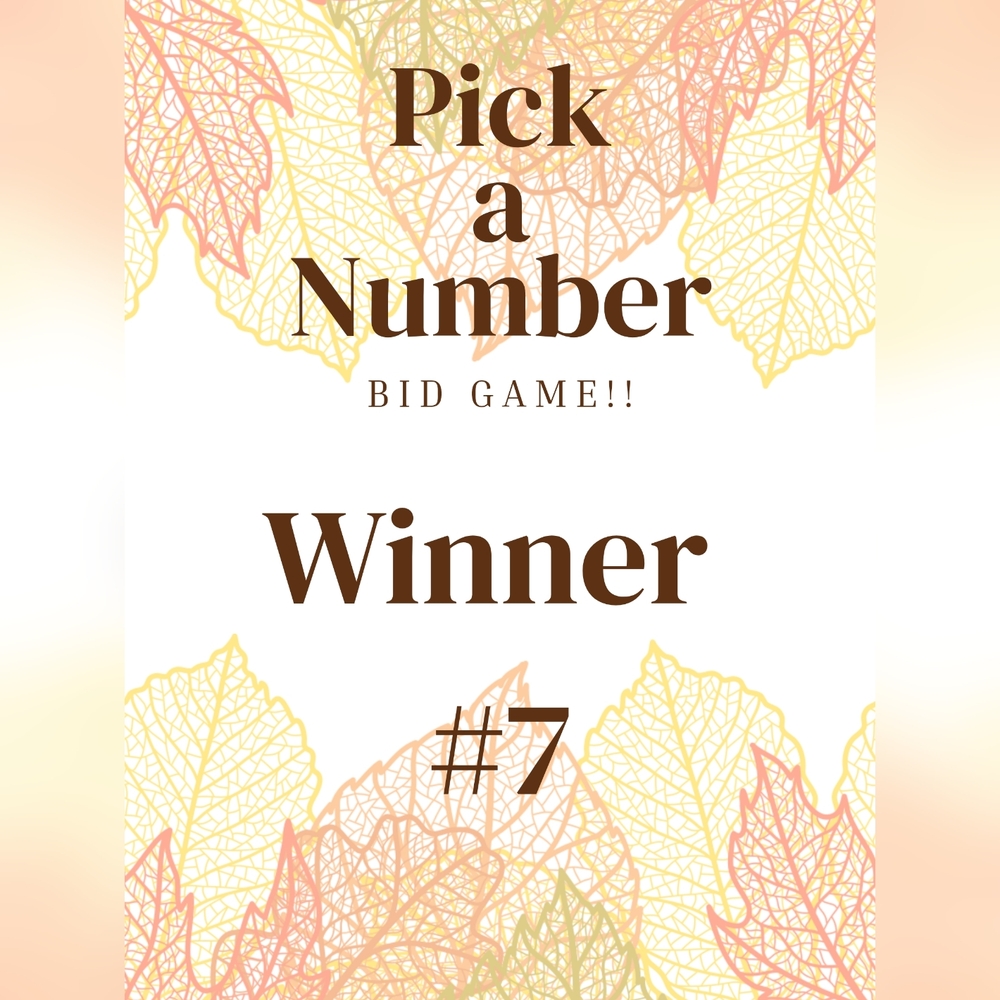 Winner #7
